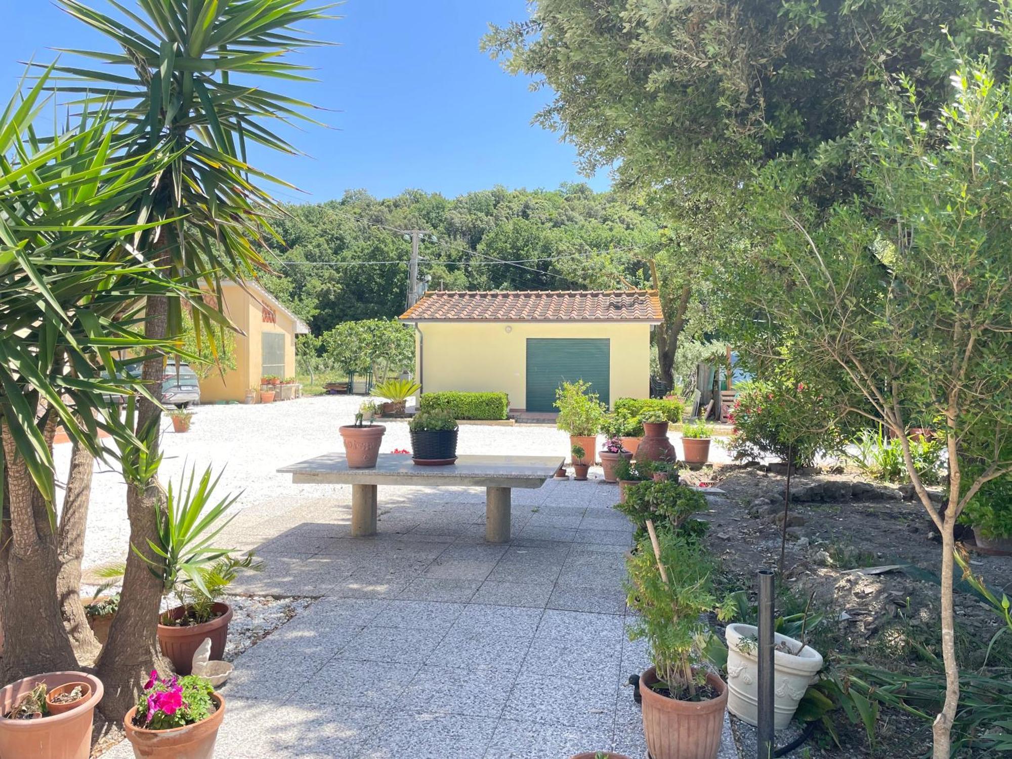 Il Leccio Agriturismo Fiorino Exterior foto