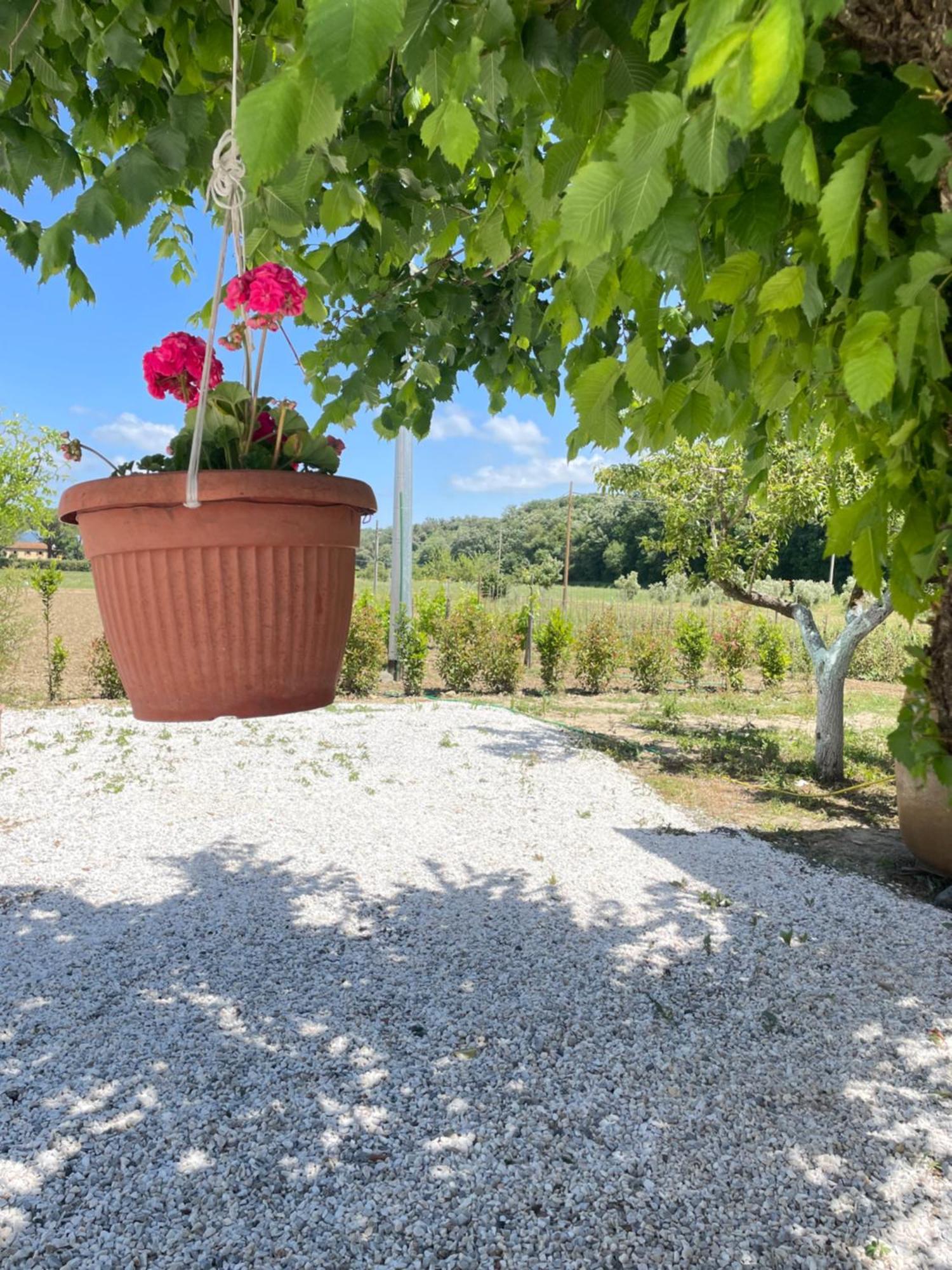Il Leccio Agriturismo Fiorino Exterior foto