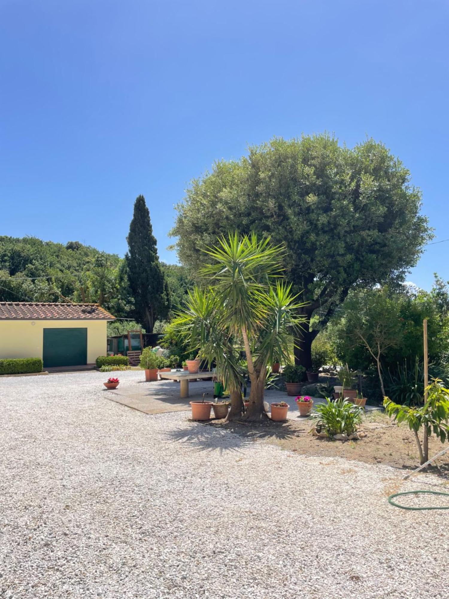 Il Leccio Agriturismo Fiorino Exterior foto