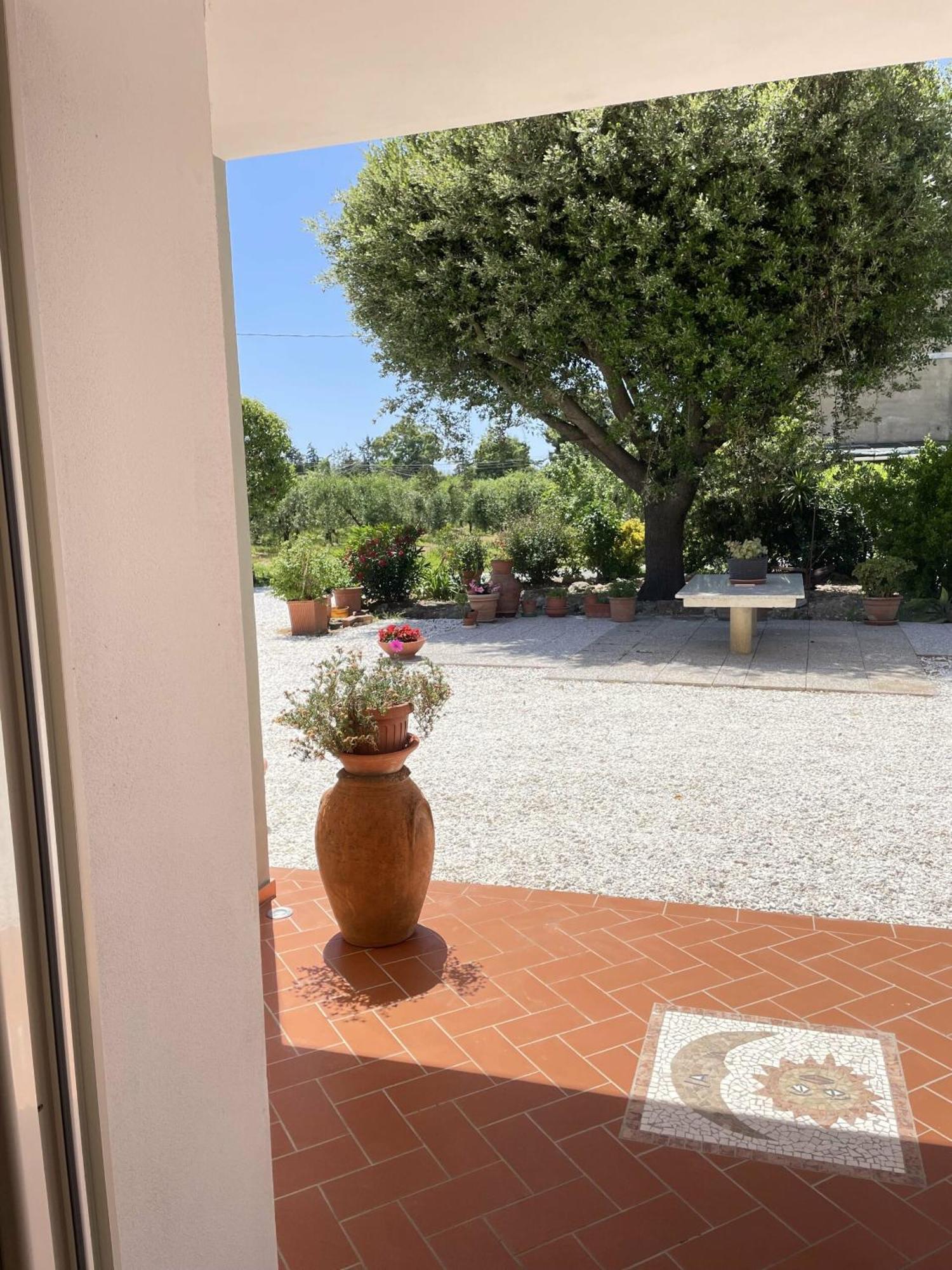 Il Leccio Agriturismo Fiorino Exterior foto